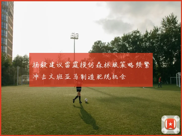 杨毅建议雷霆模仿森林狼策略频繁冲击文班亚马制造犯规机会