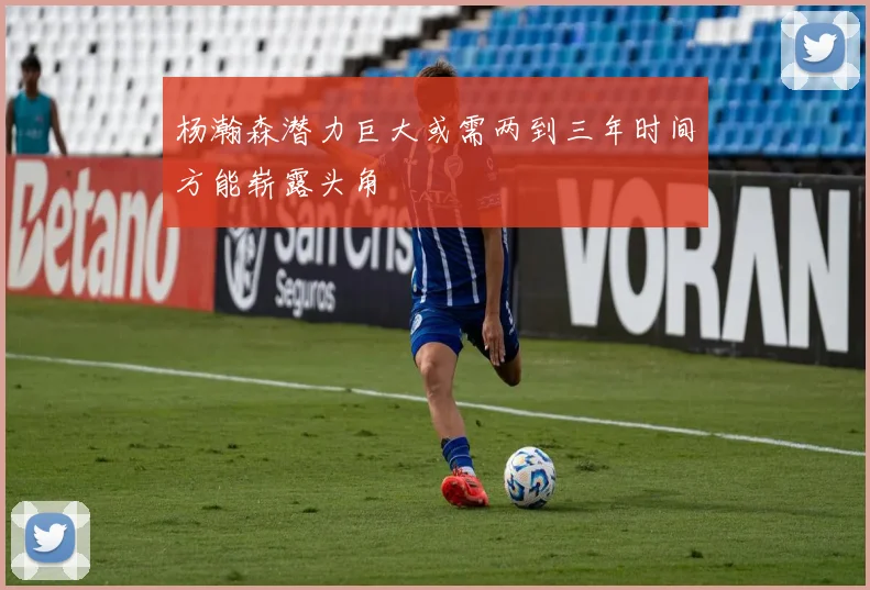 杨瀚森潜力巨大或需两到三年时间方能崭露头角